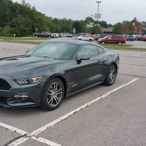 Meet your Posher, Dylan